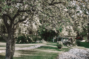 Read more about the article Wedding Music Wiarton: Felix and Angela at Spring Creek Gavel Farms